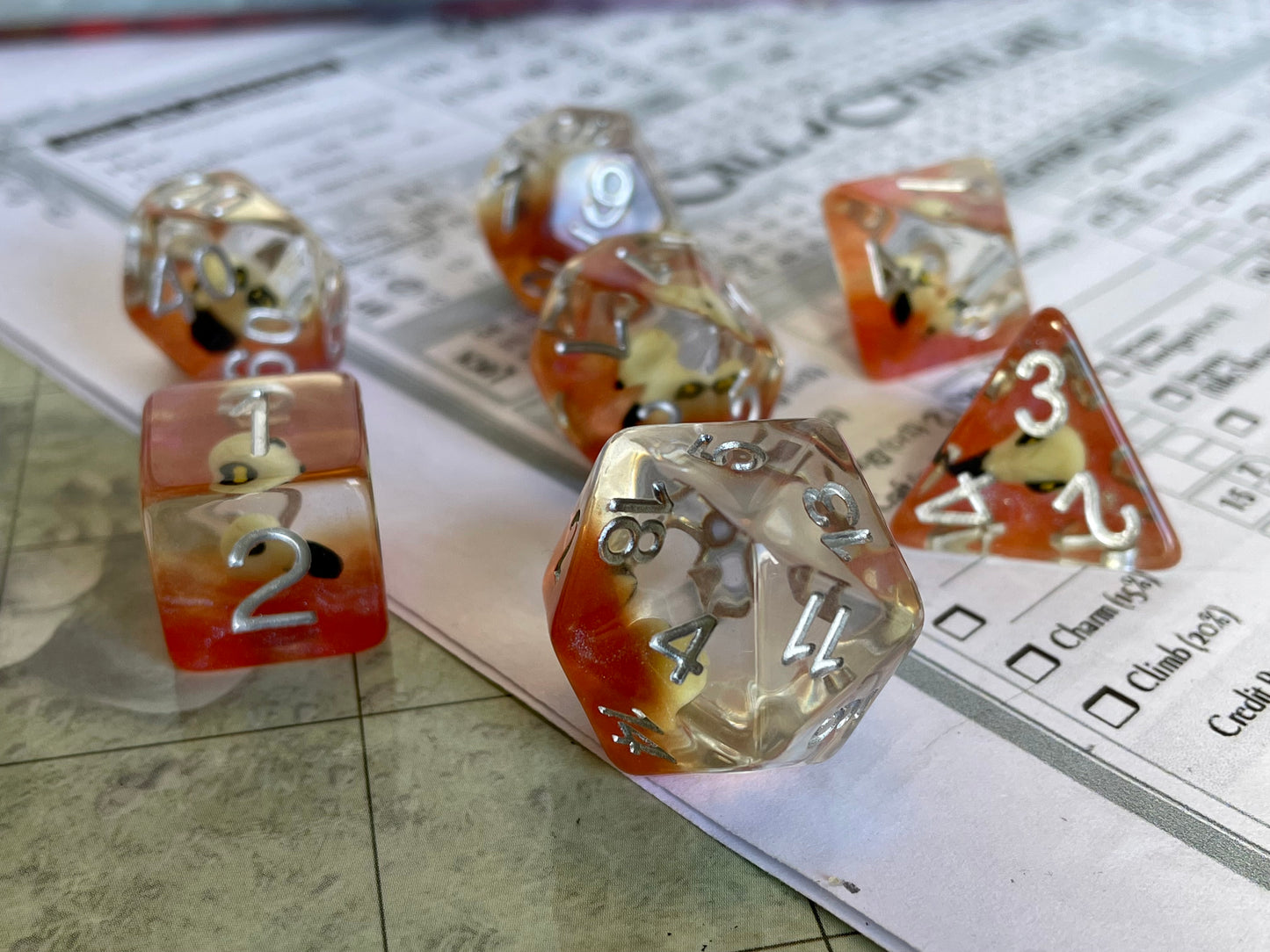 Entombed Poly Dice Set- Bird Skull in Orange